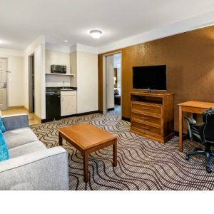 La Quinta Inn & Suites - North Stone Oak