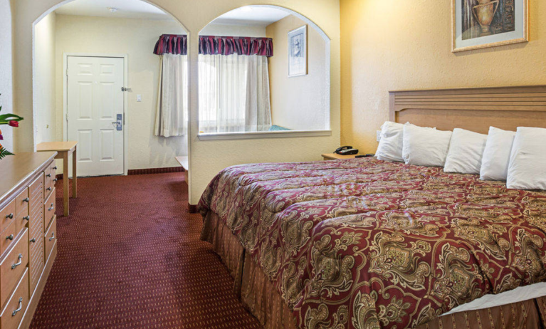 Rodeway Inn & Suites, Houston