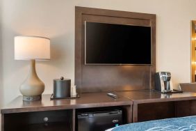 TV available in day use rooms at Comfort Inn Prospect Park-Brooklyn.