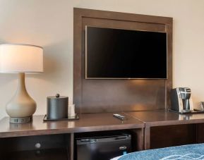 TV available in day use rooms at Comfort Inn Prospect Park-Brooklyn.