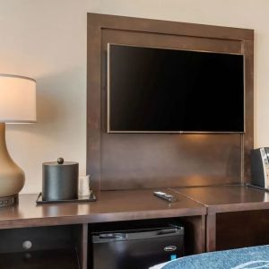 TV available in day use rooms at Comfort Inn Prospect Park-Brooklyn.