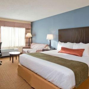 King bed with natural light at Best Western Plus Hotel & Conference Center.