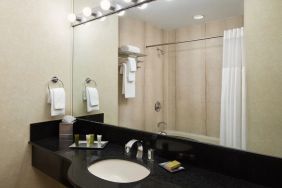 Guest bathroom with shower at Millennium Downtown New York.