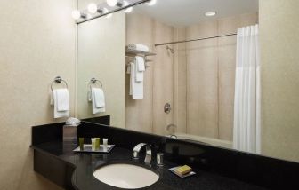 Guest bathroom with shower at Millennium Downtown New York.