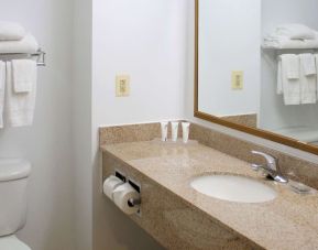 Bathroom with shower at Country Inn & Suites By Radisson, BWI Airport.