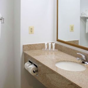 Bathroom with shower at Country Inn & Suites By Radisson, BWI Airport.