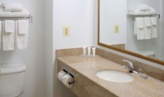 Bathroom with shower at Country Inn & Suites By Radisson, BWI Airport.