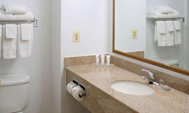 Bathroom with shower at Country Inn & Suites By Radisson, BWI Airport.