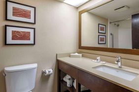 Guest bathroom at Comfort Suites Baymeadows Near Butler Blvd.