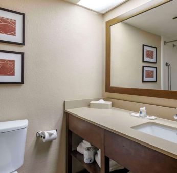 Guest bathroom at Comfort Suites Baymeadows Near Butler Blvd.