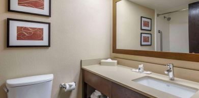 Guest bathroom at Comfort Suites Baymeadows Near Butler Blvd.