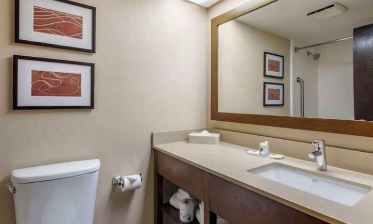 Guest bathroom at Comfort Suites Baymeadows Near Butler Blvd.