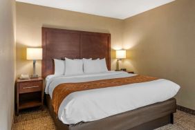 King room at Comfort Suites Baymeadows Near Butler Blvd.