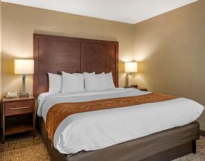 King room at Comfort Suites Baymeadows Near Butler Blvd.