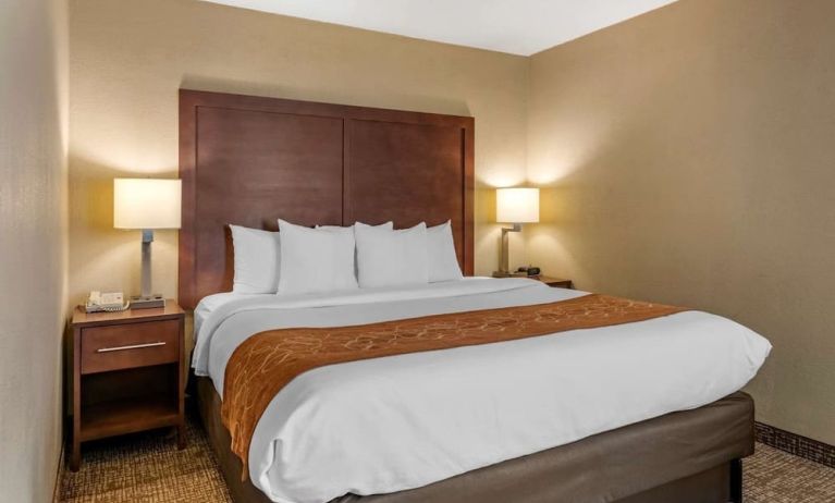 King room at Comfort Suites Baymeadows Near Butler Blvd.