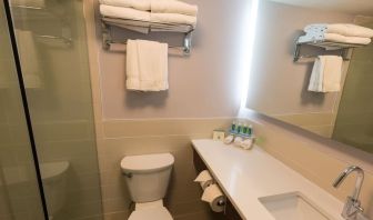 Guest bathroom with shower at Holiday Inn Express Edmonton Downtown.