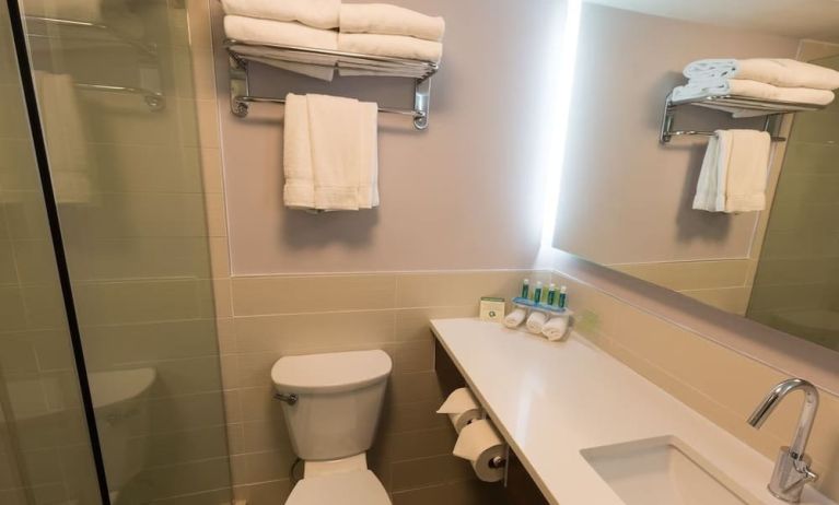 Guest bathroom with shower at Holiday Inn Express Edmonton Downtown.