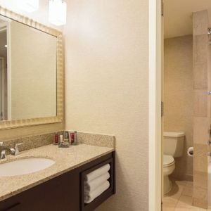 Guest bathroom with shower at Washington Dulles Marriott Suites.