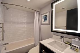 Guest bathroom with shower at Four Points By Sheraton Boston-Newton. 