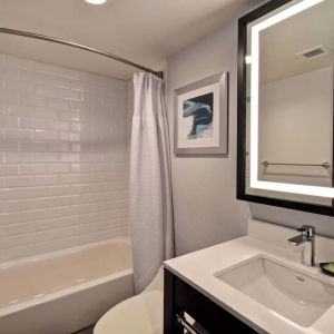 Guest bathroom with shower at Four Points By Sheraton Boston-Newton. 