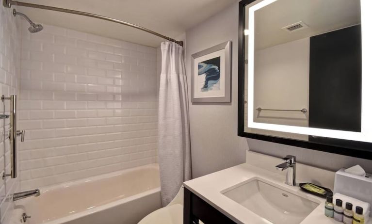 Guest bathroom with shower at Four Points By Sheraton Boston-Newton. 