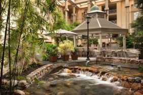 Outdoor seating and natural scenery at Hyatt Regency Greenwich.
