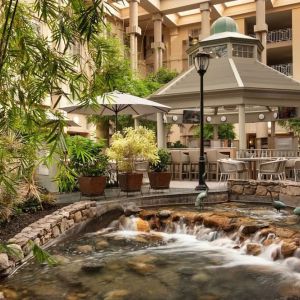 Outdoor seating and natural scenery at Hyatt Regency Greenwich.
