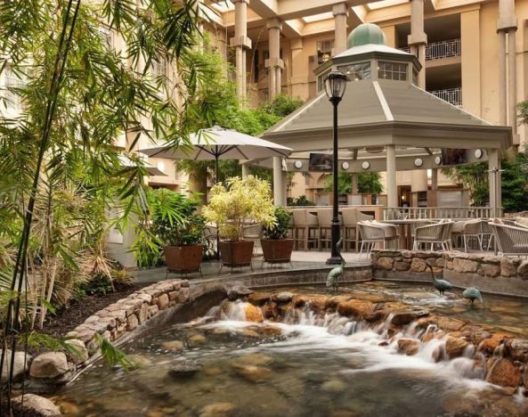 Outdoor seating and natural scenery at Hyatt Regency Greenwich.
