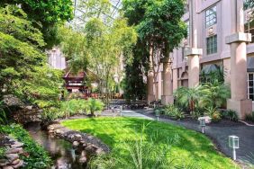 Beautiful and serene hotel garden at Hyatt Regency Greenwich.