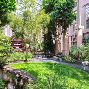 Beautiful and serene hotel garden at Hyatt Regency Greenwich.