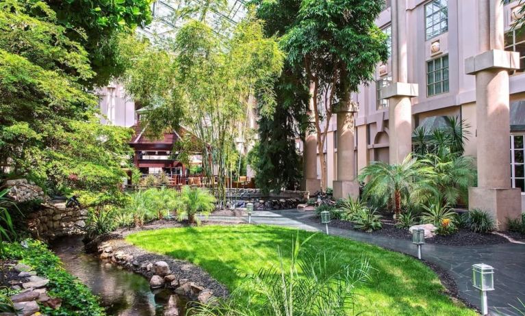 Beautiful and serene hotel garden at Hyatt Regency Greenwich.