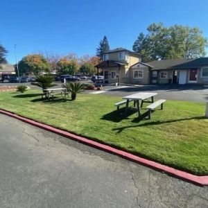 Outdoor garden seating at North Bay Inn.