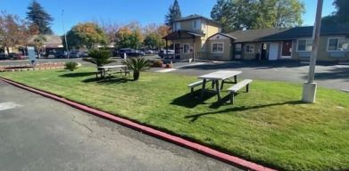 Outdoor garden seating at North Bay Inn.