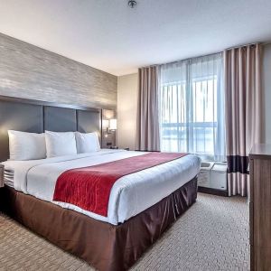 Romantic king room at Comfort Inn And Suites Calgary South.