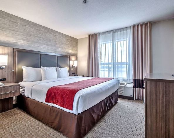 Romantic king room at Comfort Inn And Suites Calgary South.