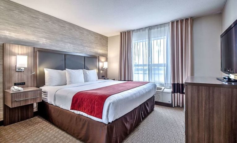 Romantic king room at Comfort Inn And Suites Calgary South.