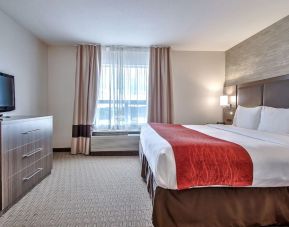 King room with natural light at Comfort Inn And Suites Calgary South.