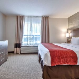 King room with natural light at Comfort Inn And Suites Calgary South.