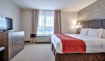 King room with natural light at Comfort Inn And Suites Calgary South.