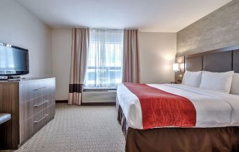 King room with natural light at Comfort Inn And Suites Calgary South.