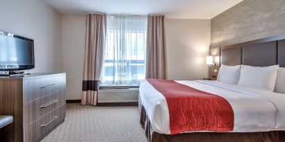 King room with natural light at Comfort Inn And Suites Calgary South.