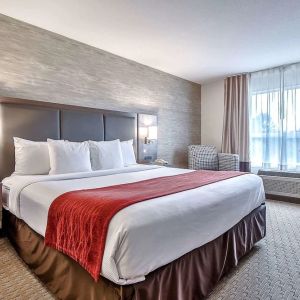 King room with work station at Comfort Inn And Suites Calgary South.