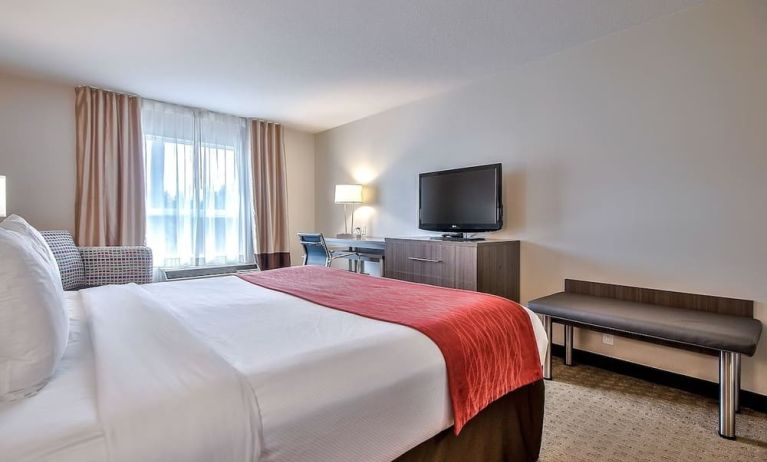 Spacious king room at Comfort Inn And Suites Calgary South.