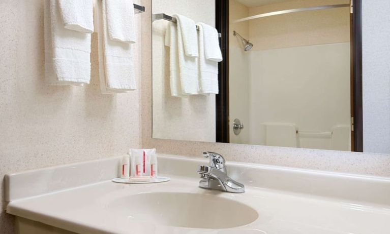 Private bathroom with shower at Baymont By Wyndham Pella.