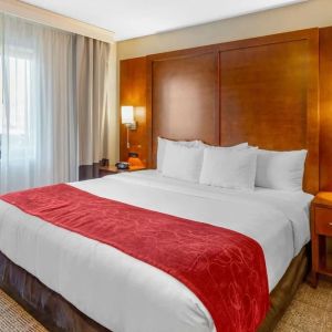 Romantic king room with natural light at Comfort Suites Oakbrook Terrace.