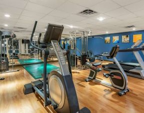 Fitness center at Comfort Suites Oakbrook Terrace.