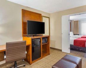 Spacious king room with TV at Comfort Suites Oakbrook Terrace.