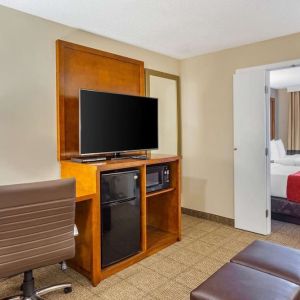 Spacious king room with TV at Comfort Suites Oakbrook Terrace.