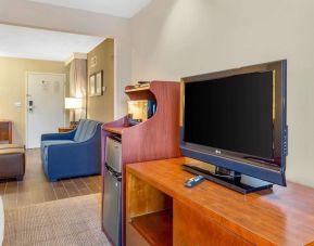 Day room with TV at Comfort Suites Oakbrook Terrace.