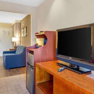 Day room with TV at Comfort Suites Oakbrook Terrace.